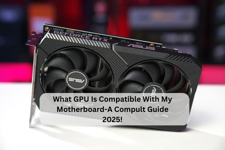 what gpu is compatible with my motherboard